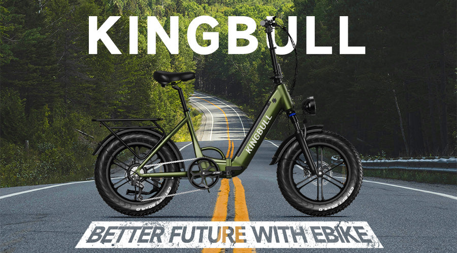 Ride Towards Sustainability: How eBikes Help the Environment
