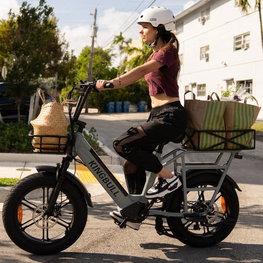 Dual Battery Electric Bike Voyager