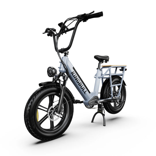 Cargo Electric Bike Voyager
