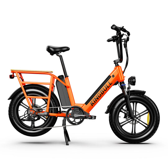 Dual Battery Electric Bike Voyager