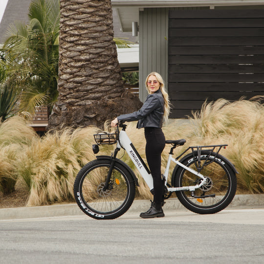 Commuter Electric Bike Discover ST