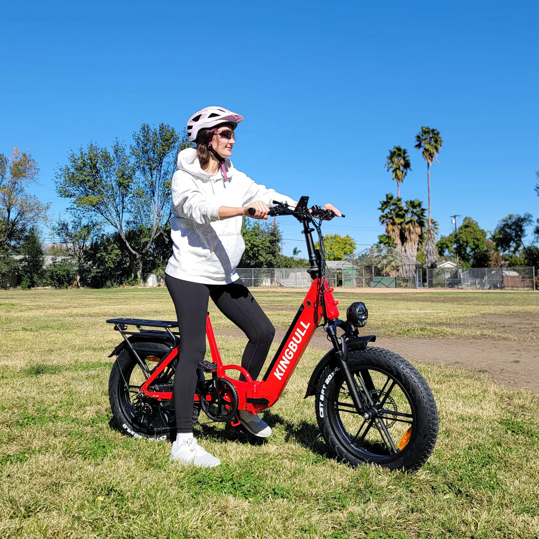 Kingbull Literider | All Terrain Folding Electric Fat Bike